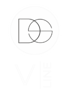 Logo vertical DS V-line